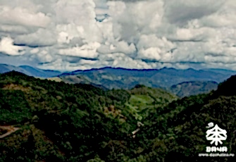 Отчет о поездке в Иу, 19.06.2013