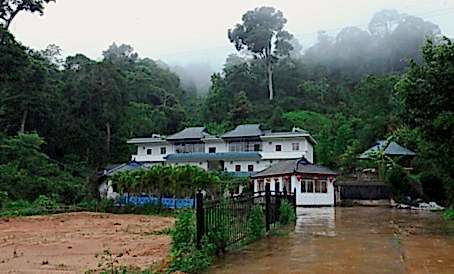 Где растут чайные деревья: Район Наньнуошань