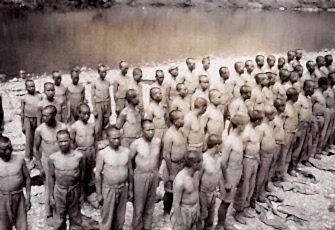 История и развитие чайной культуры в Таиланде