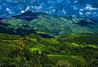 Preview       img 2031