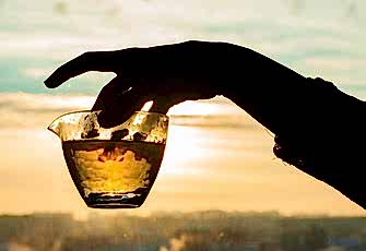 Узнайте всё о Фэн Хуан Дань Цун от А до Я: часть 3