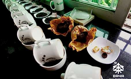 Качественные характеристики чая Пуэр.