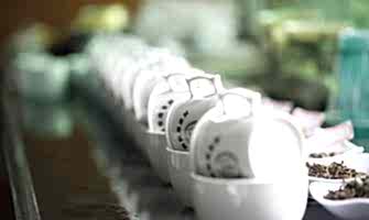 Мы провели сложный отбор основной линейки чая