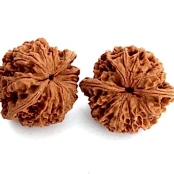 Орехи для медитации 5 см, пара