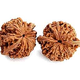 Орехи для медитации 5 см, пара