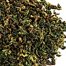 Улун Юг Фуцзяни Те Гуань Инь Лань Сянь