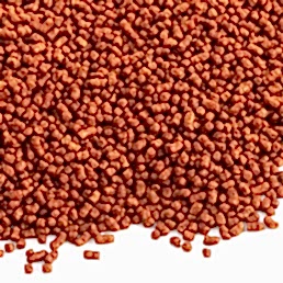 КуЦяо (Тайваньский гречишный чай)