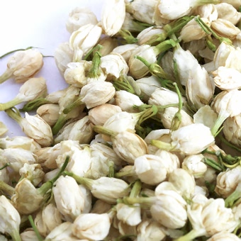 Цветы жасмина