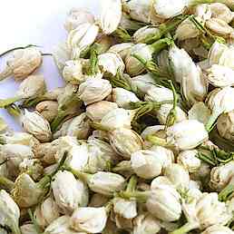 Цветы жасмина