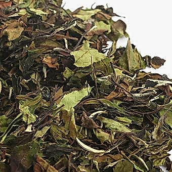 Белый Бай Ча Шоу Мэй