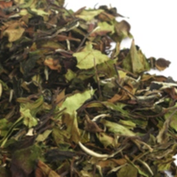 Белый Бай Ча Шоу Мэй