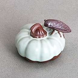 Фэн Шуй "Цикада", Жу Яо