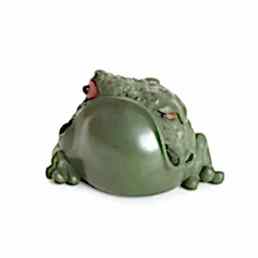 Фэн Шуй, "Смотрящая жаба"