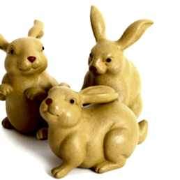 Фэн Шуй, "Зайчик"