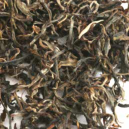 Пуэр Шэн Цзан Цзя Чжай ГуШу, 2400м, 2023 г