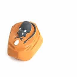 Фэн Шуй "Мышь на камне"