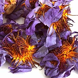 Цветы, "Лотос" (Нимфея)