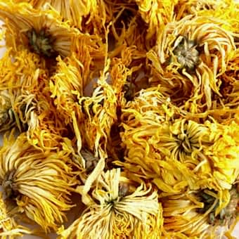 Цветы "Хризантема Хуан Шань"