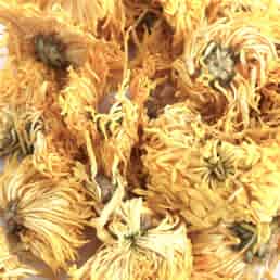 Цветы "Хризантема Хуан Шань"