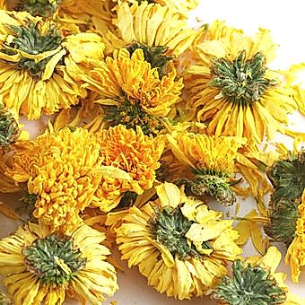 Цветы, "Хризантема желтая"