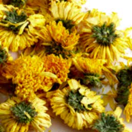 Цветы, "Хризантема желтая"