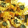 Цветы, "Хризантема желтая"