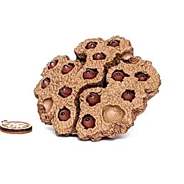 Фэн шуй, "Счастье и процветание"